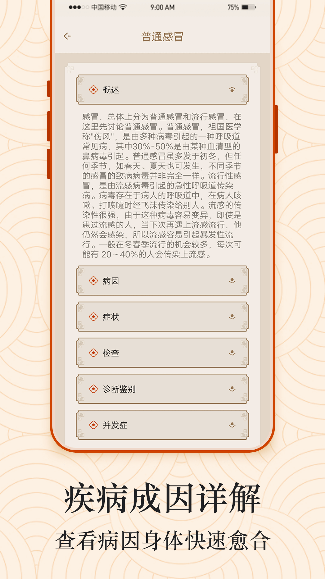 上臂经络图解 v2