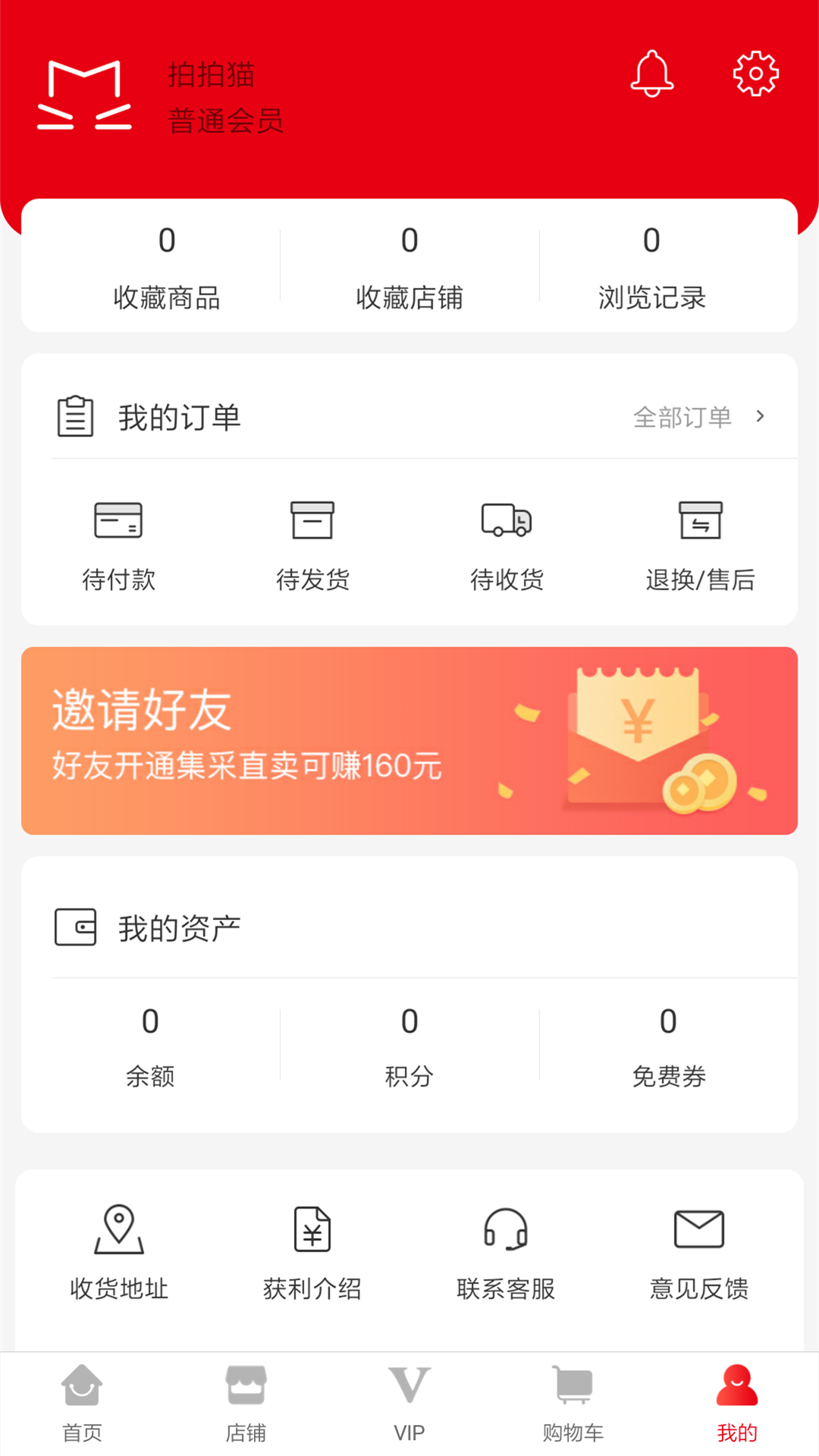 拍拍猫