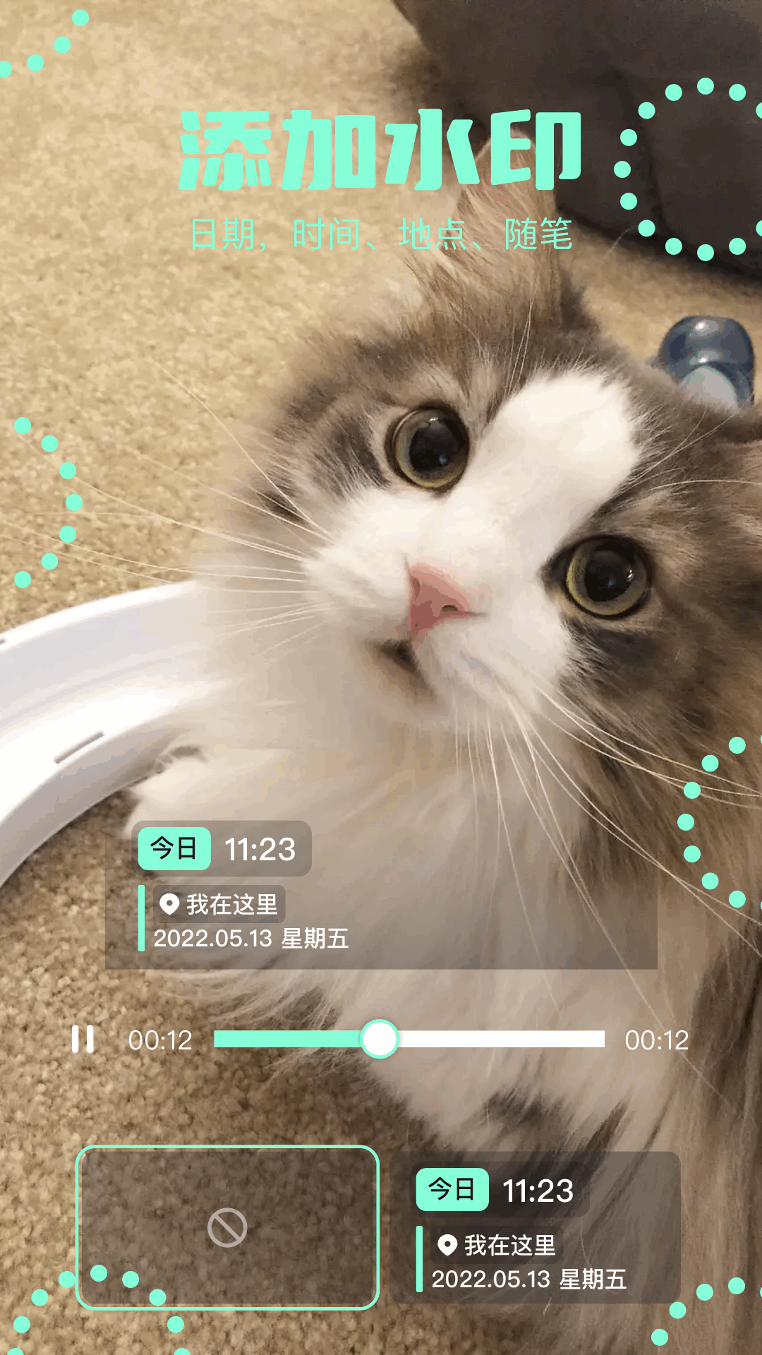 alight motion app