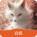 白狐