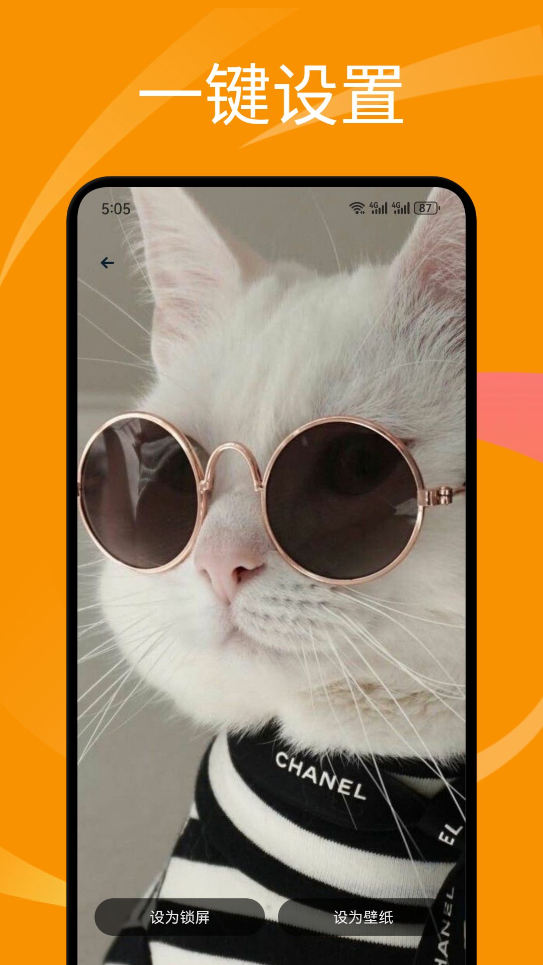 萌猫公园