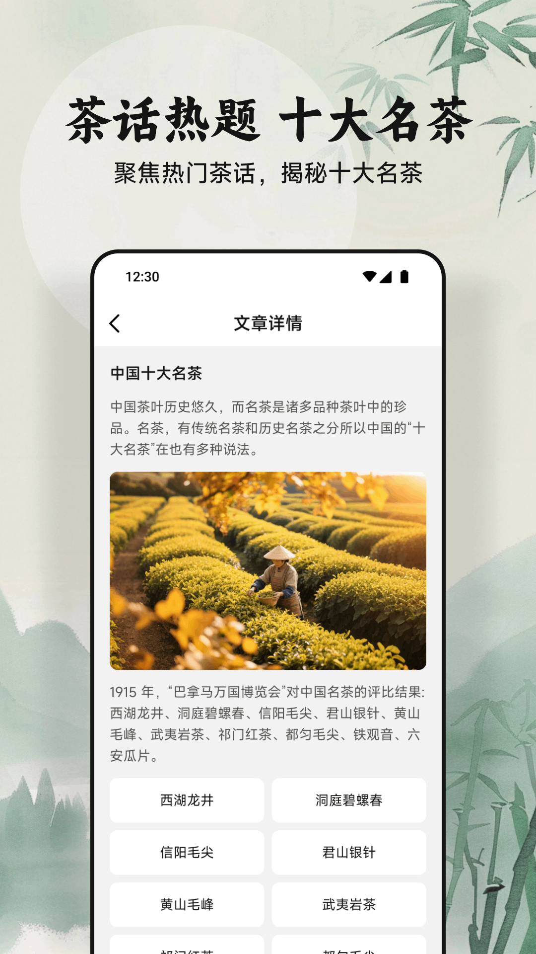 绿茶