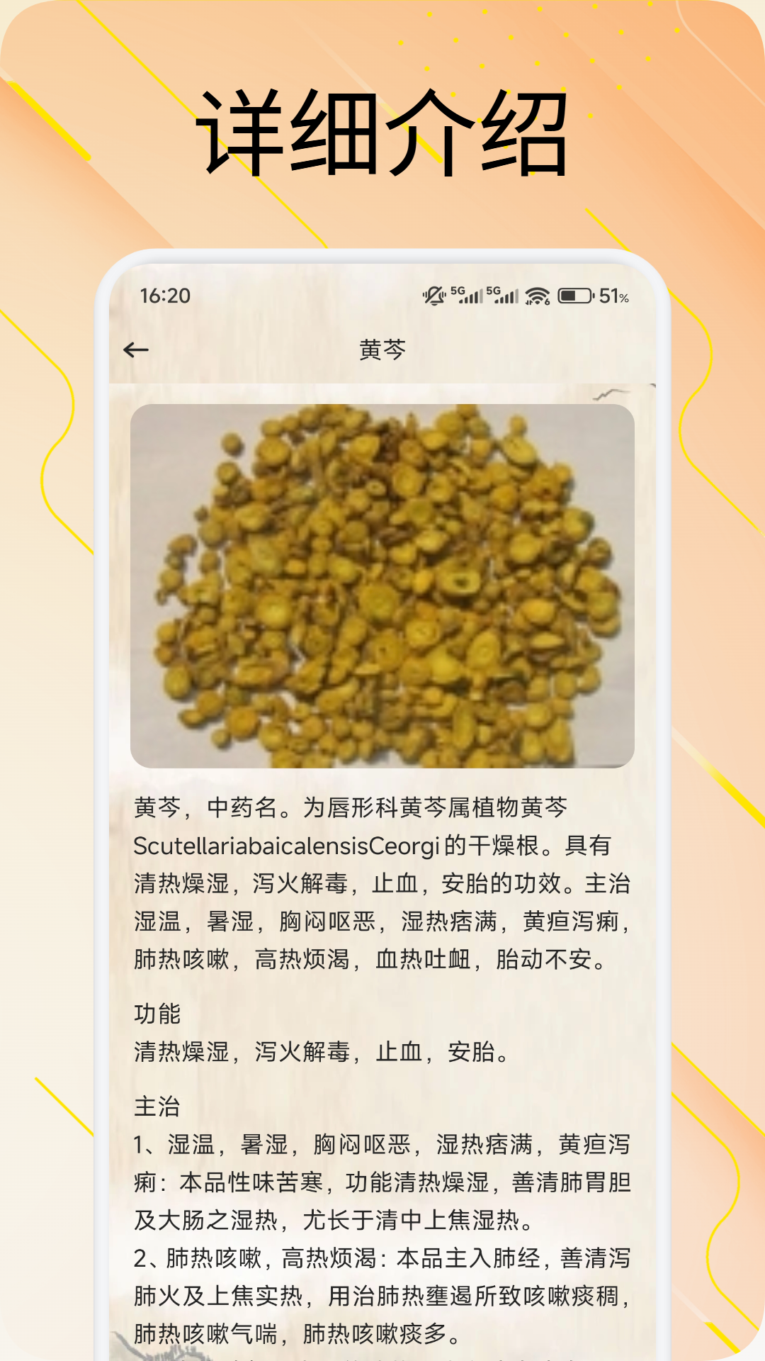 讯会通官网 v1.3