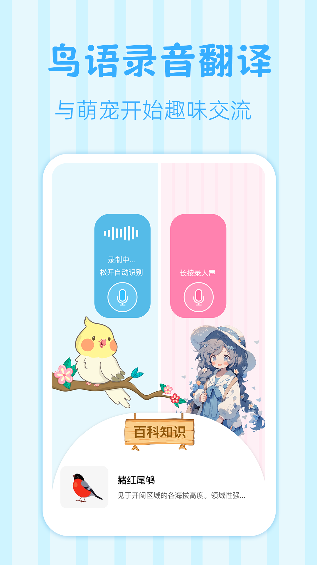 鸟语翻译王截图
