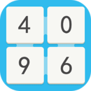 4096 Challenging Puzzle