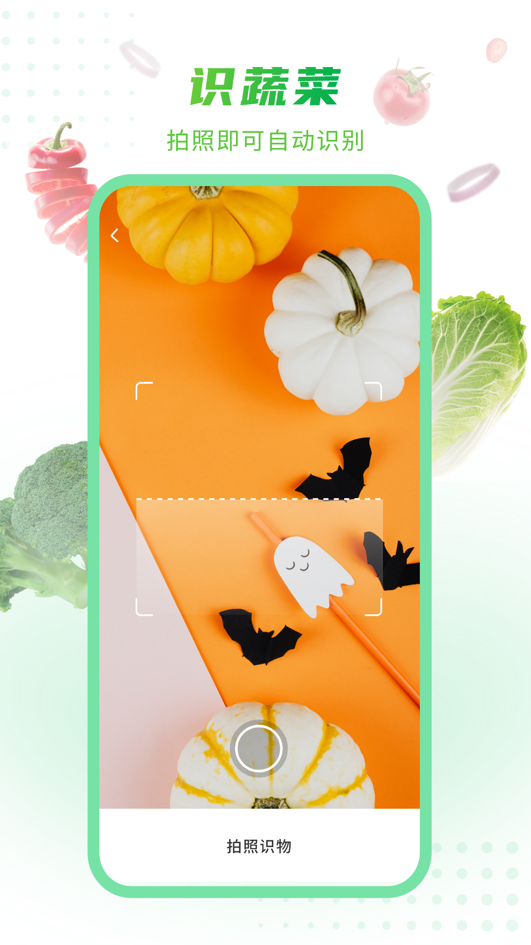 有机蔬菜是不是没有农药 v1.0.3