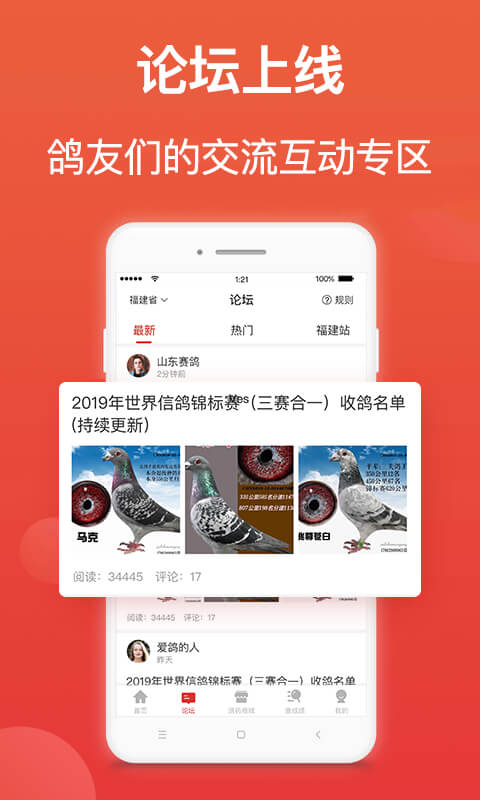 搜鸽天下