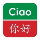 精选意汉汉意词典