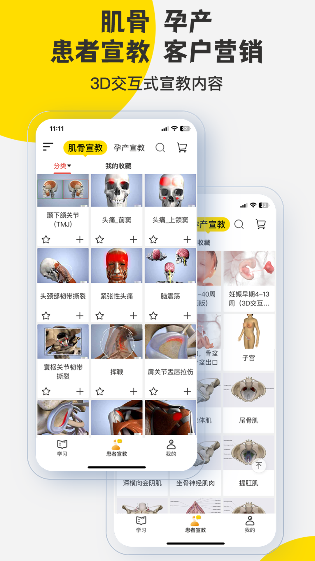 3DBody解剖