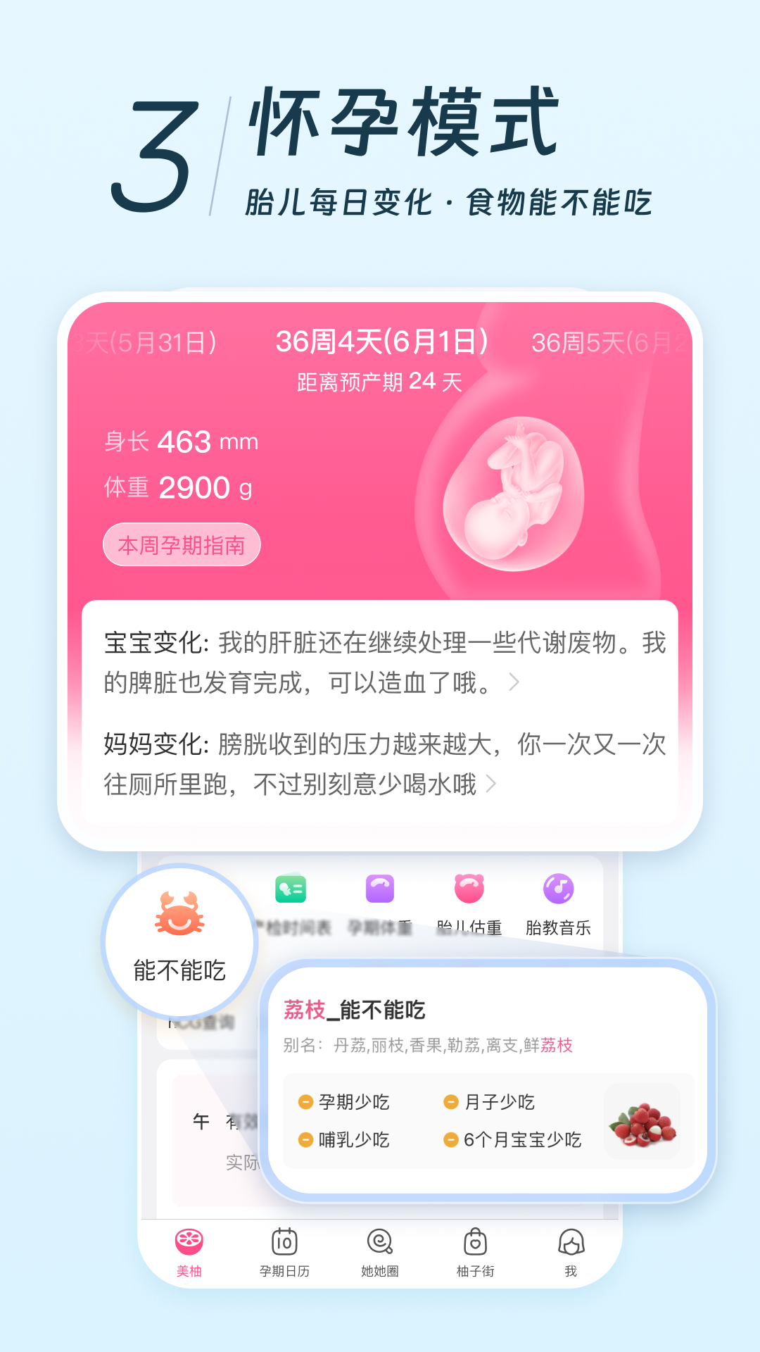 美柚记录月经 v8.94.0.1