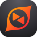 向日葵领航 v1.1.4.60754