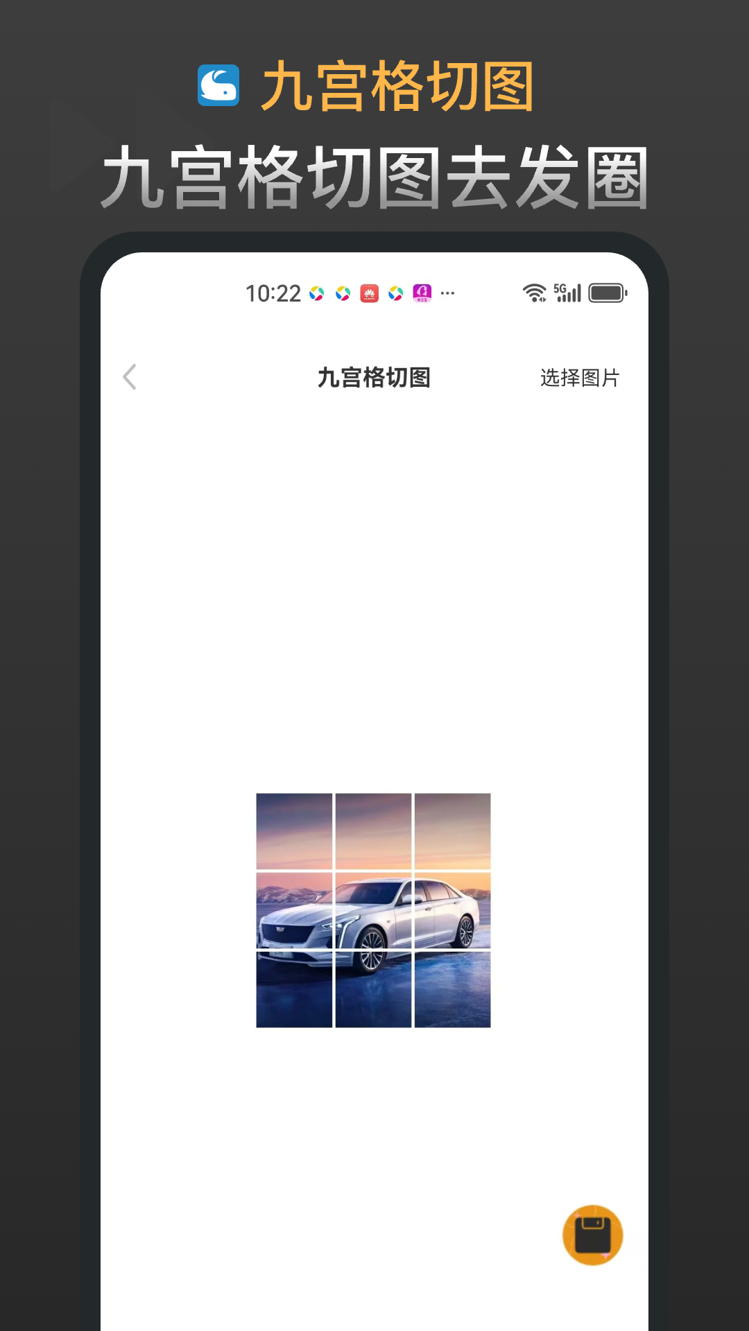 鲸鱼
