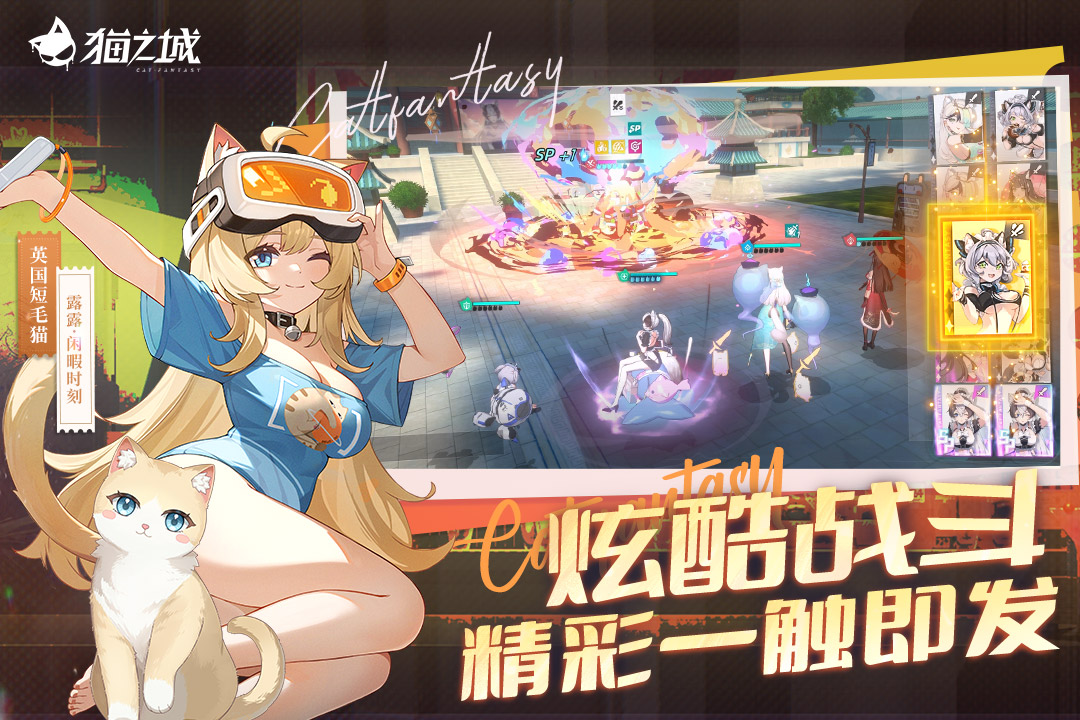 猫之城