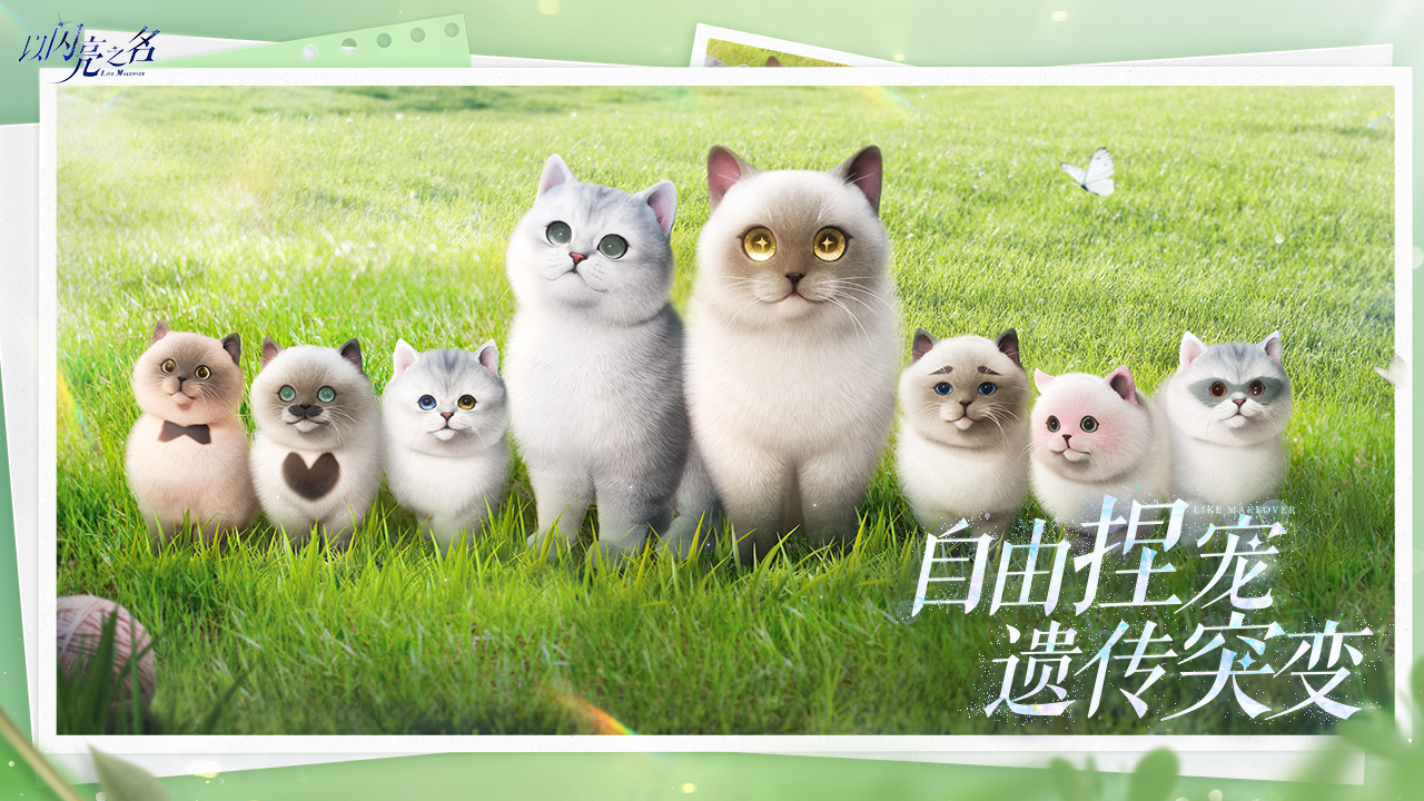 以闪亮之名截图