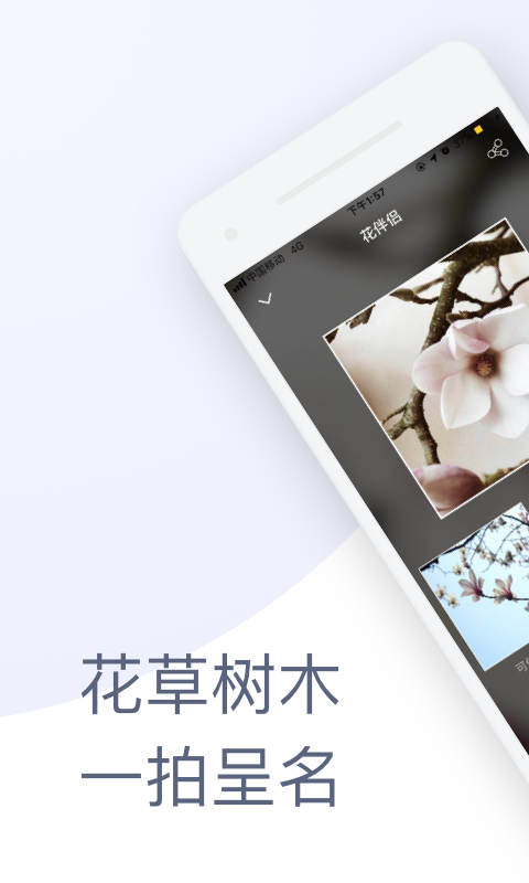 花伴侣下载拍照识花 v3.2.22