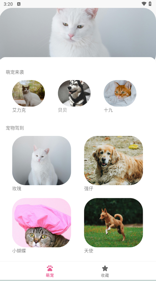 萌趣