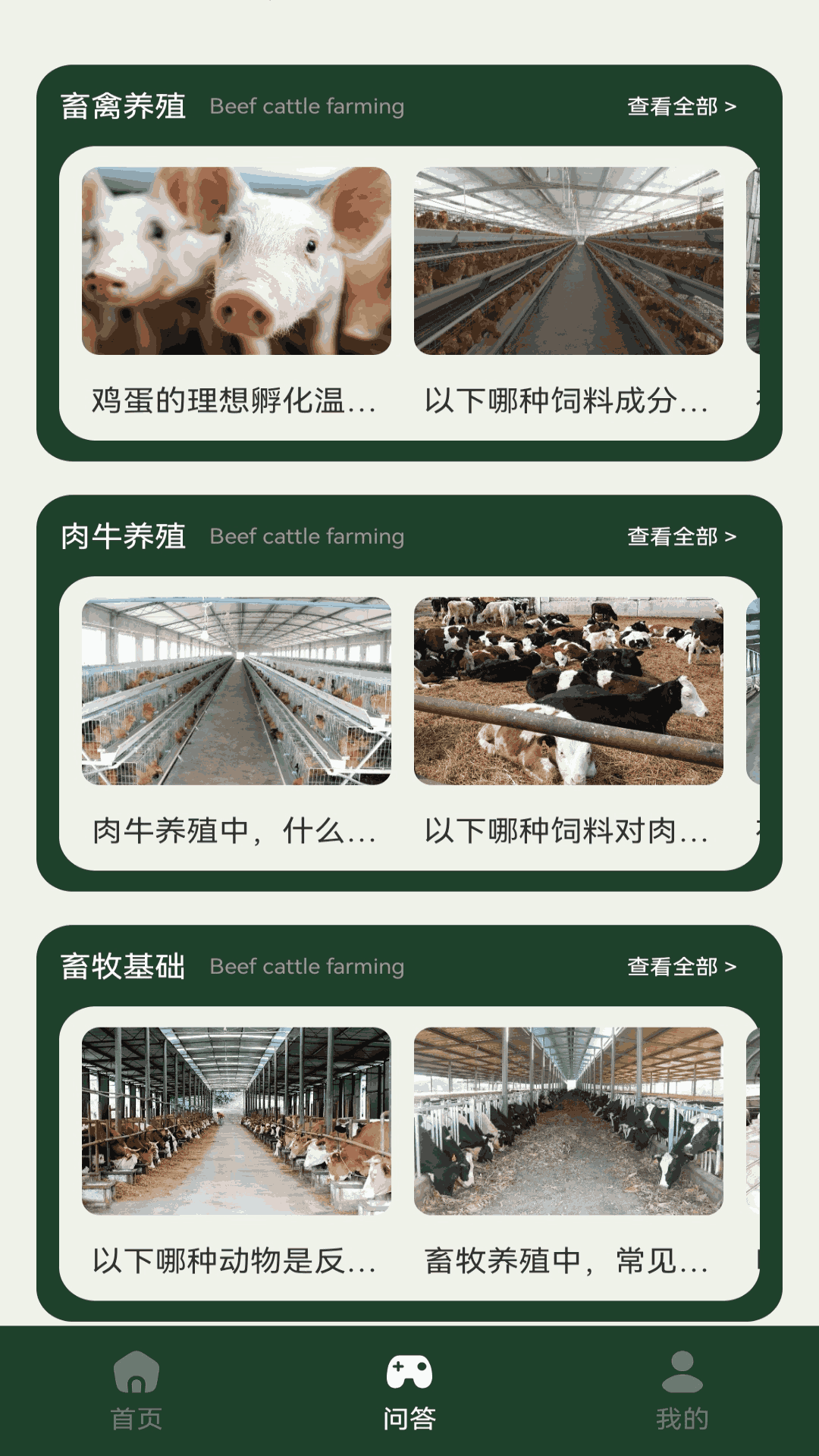 一定牛