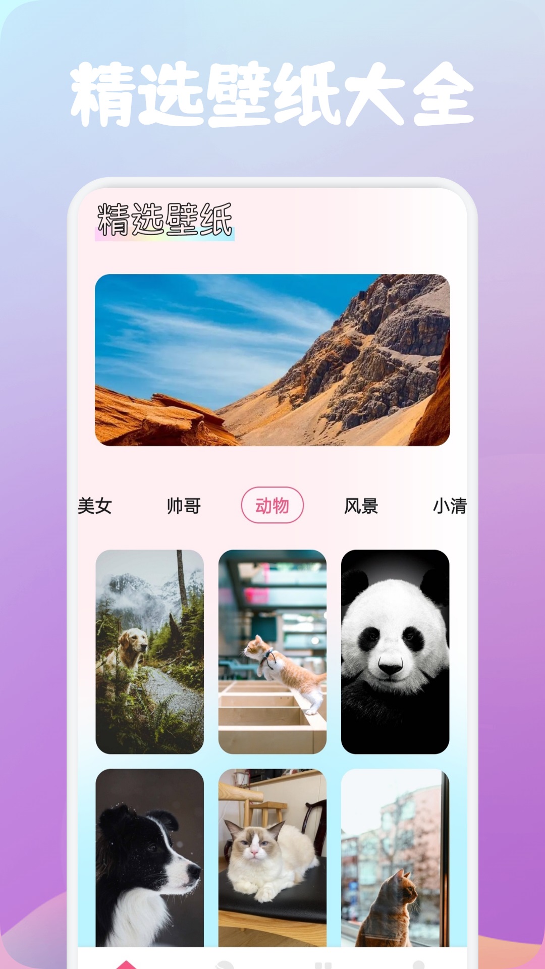 玫瑰
