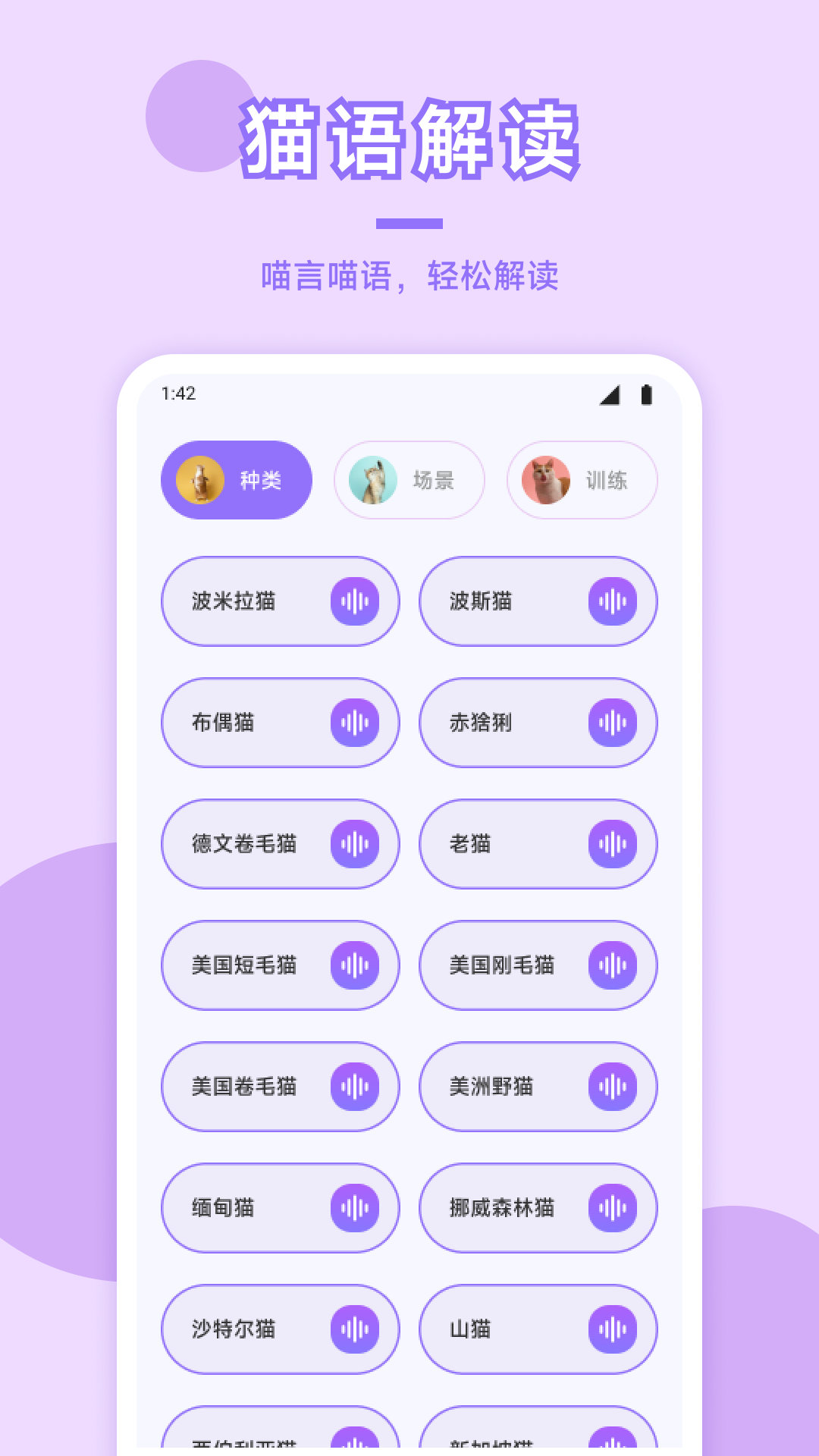 猫咪社区