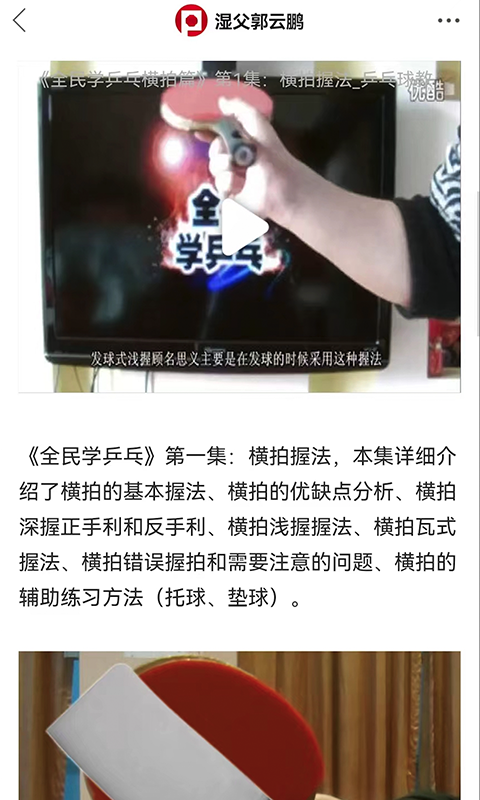 乒乓网阿尔法套胶 v8.0