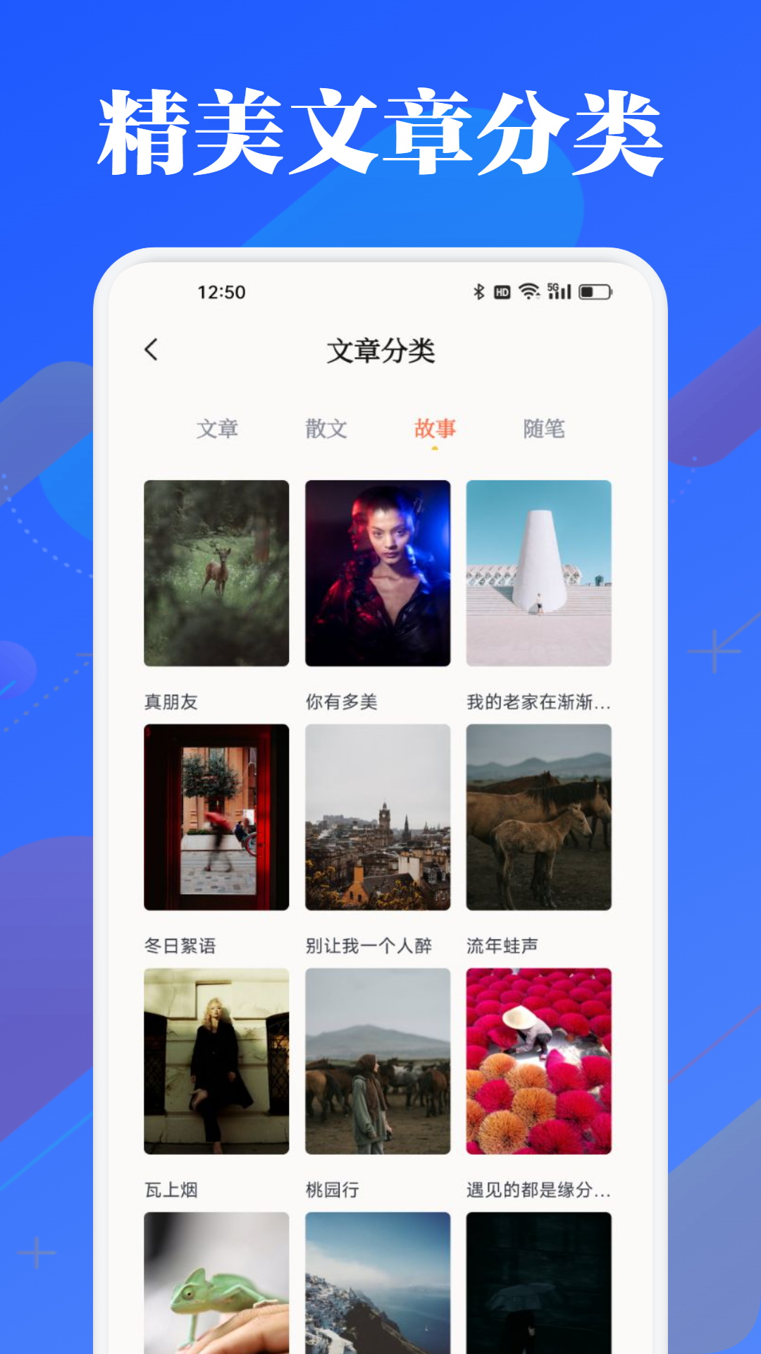 海豚