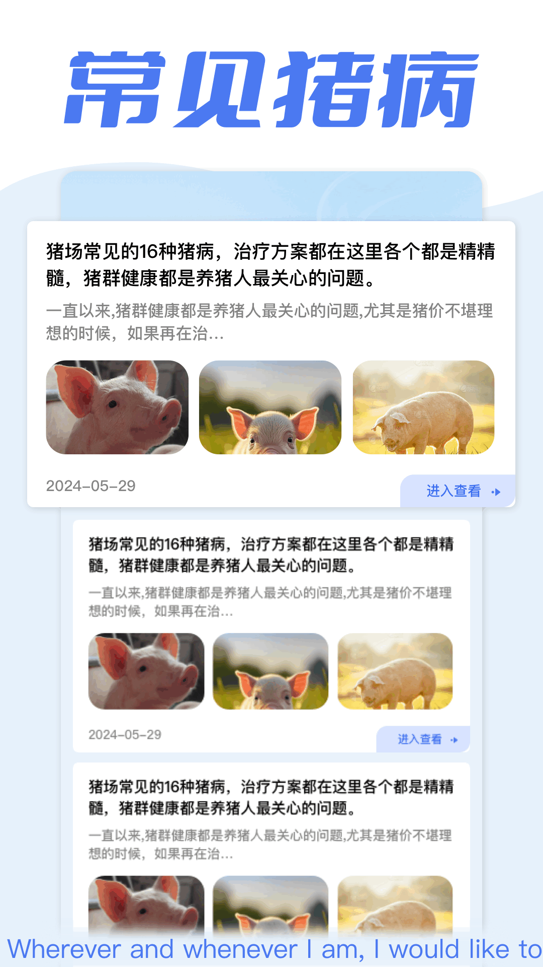 猪猪多福