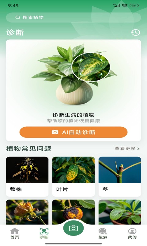 花草志