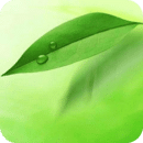 中医执业医师app