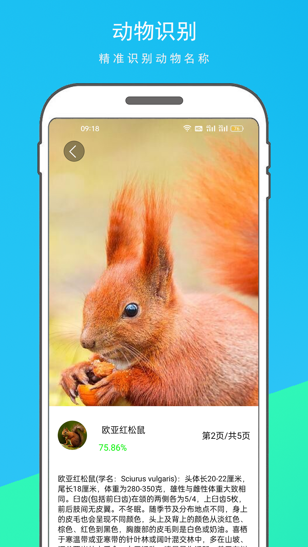 万物识别王截图