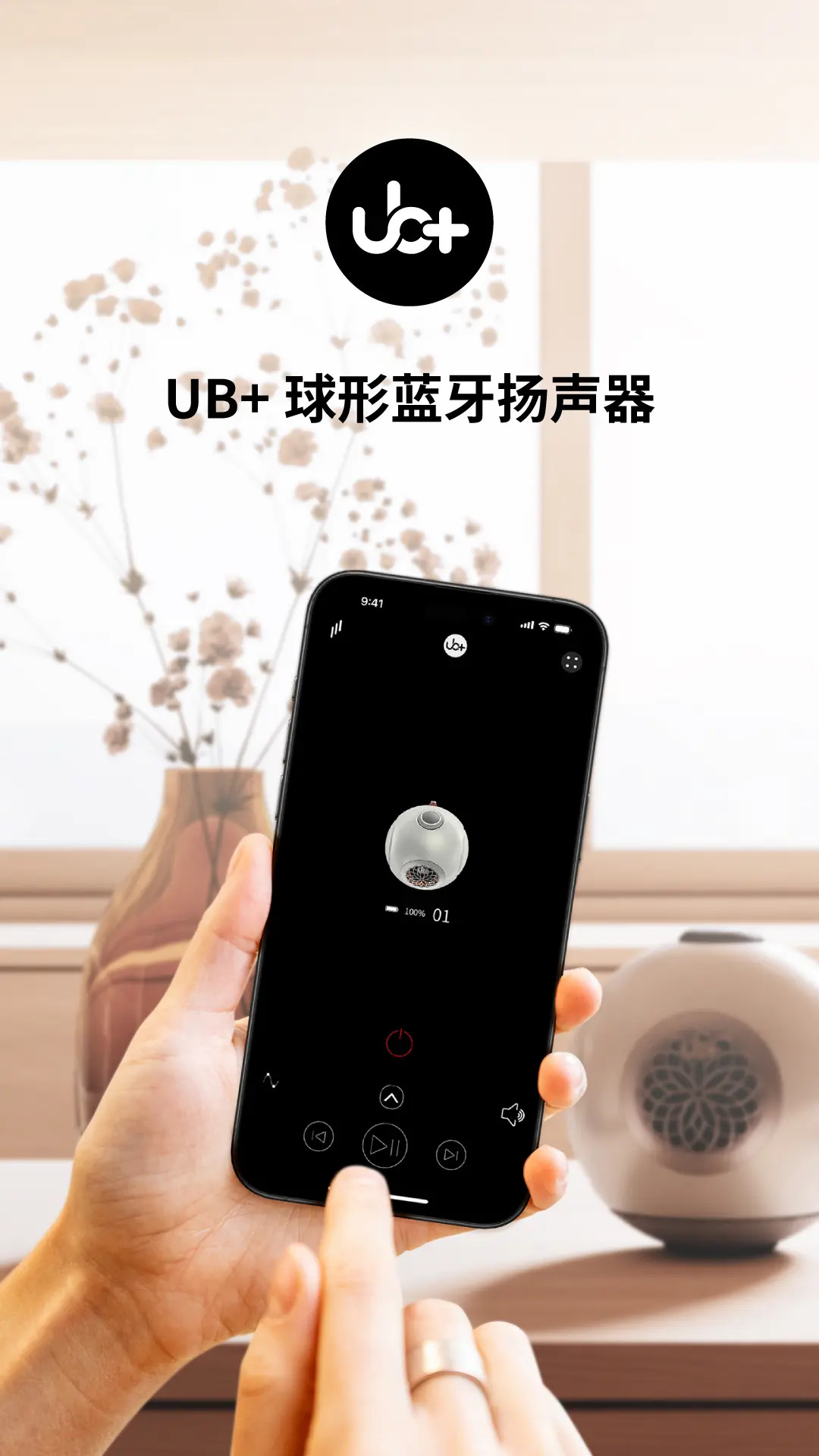 UB+SEEK无线音箱截图