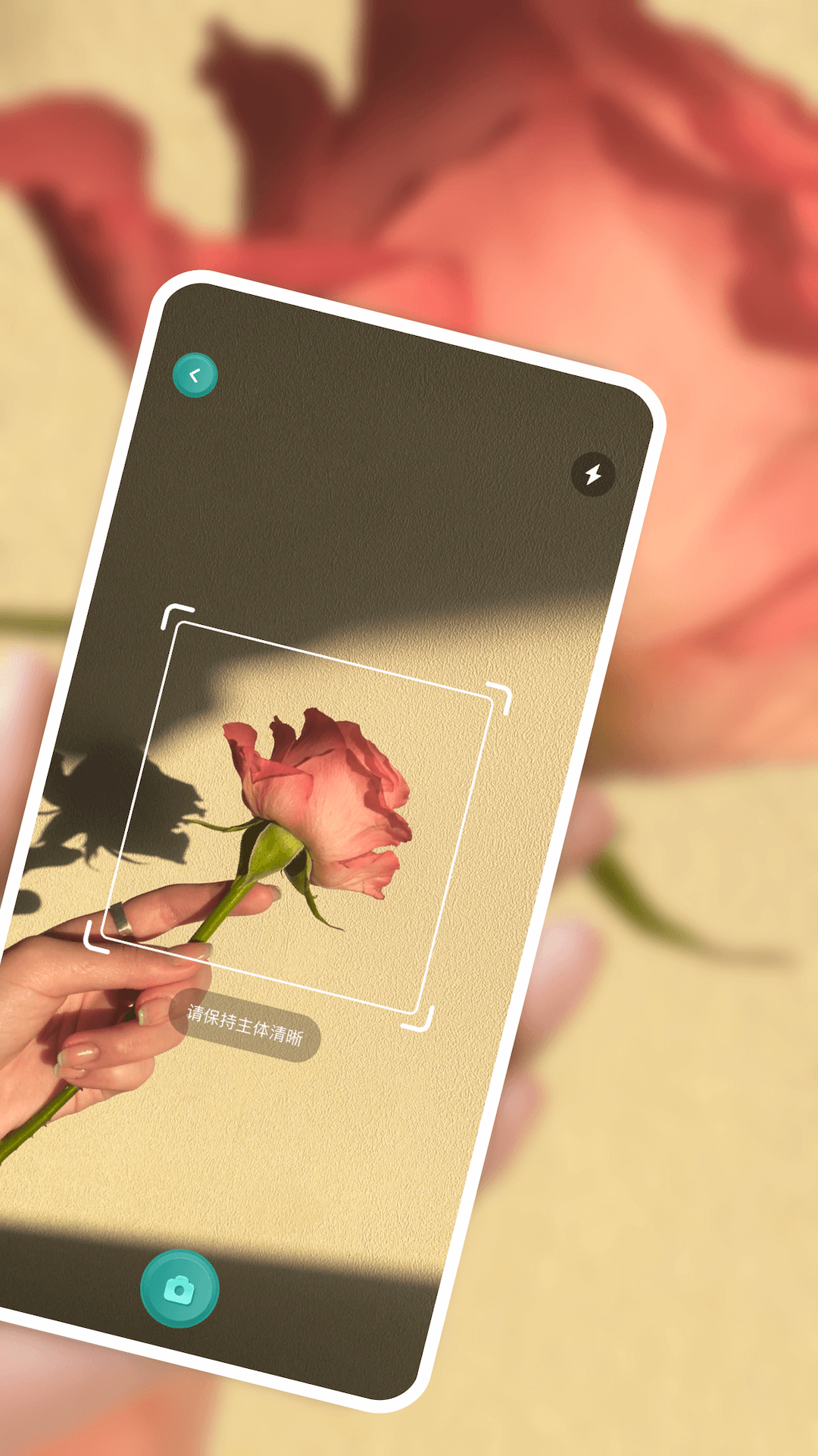 识别花草扫一扫 v1.18