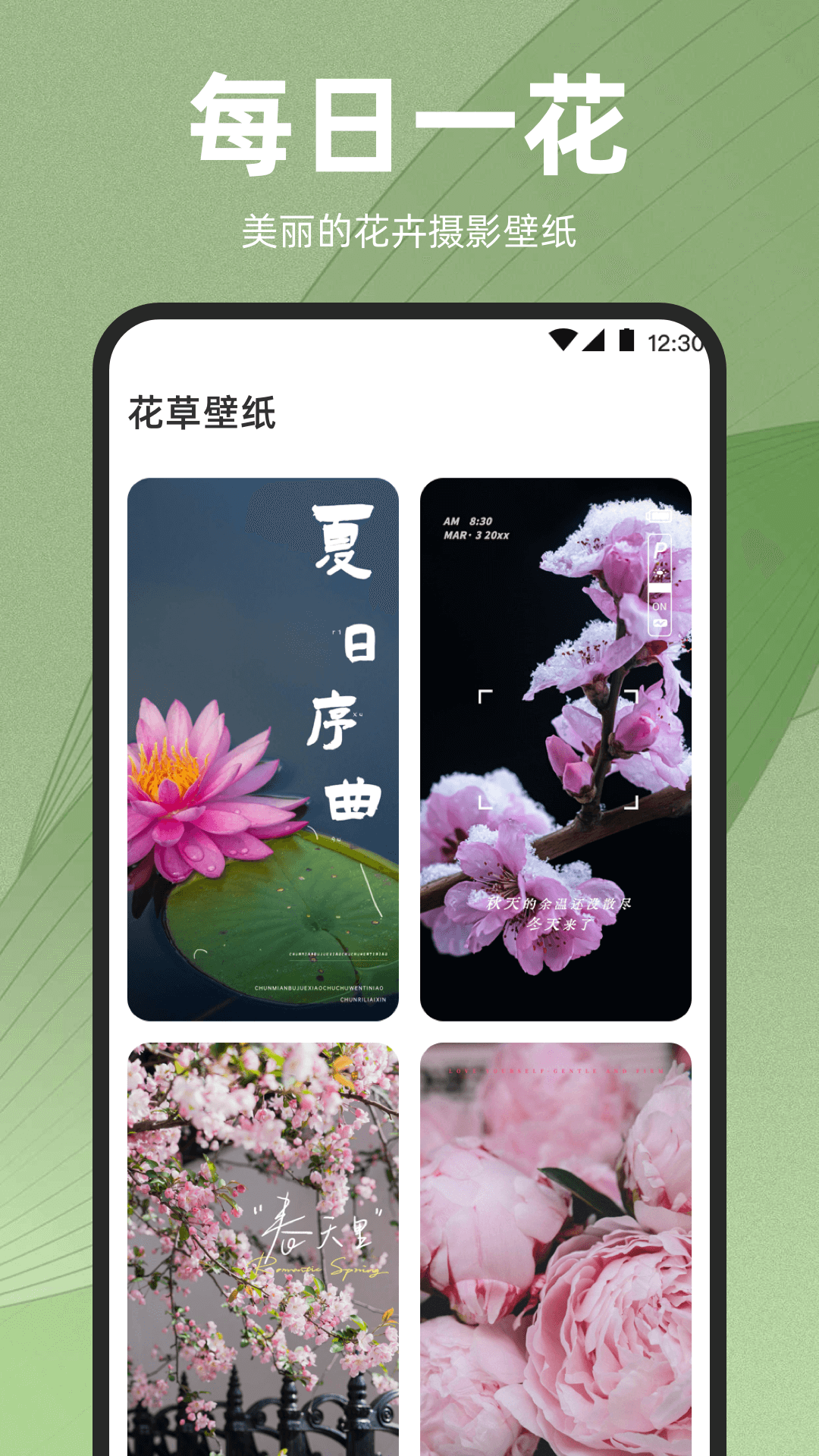 识花iPlant