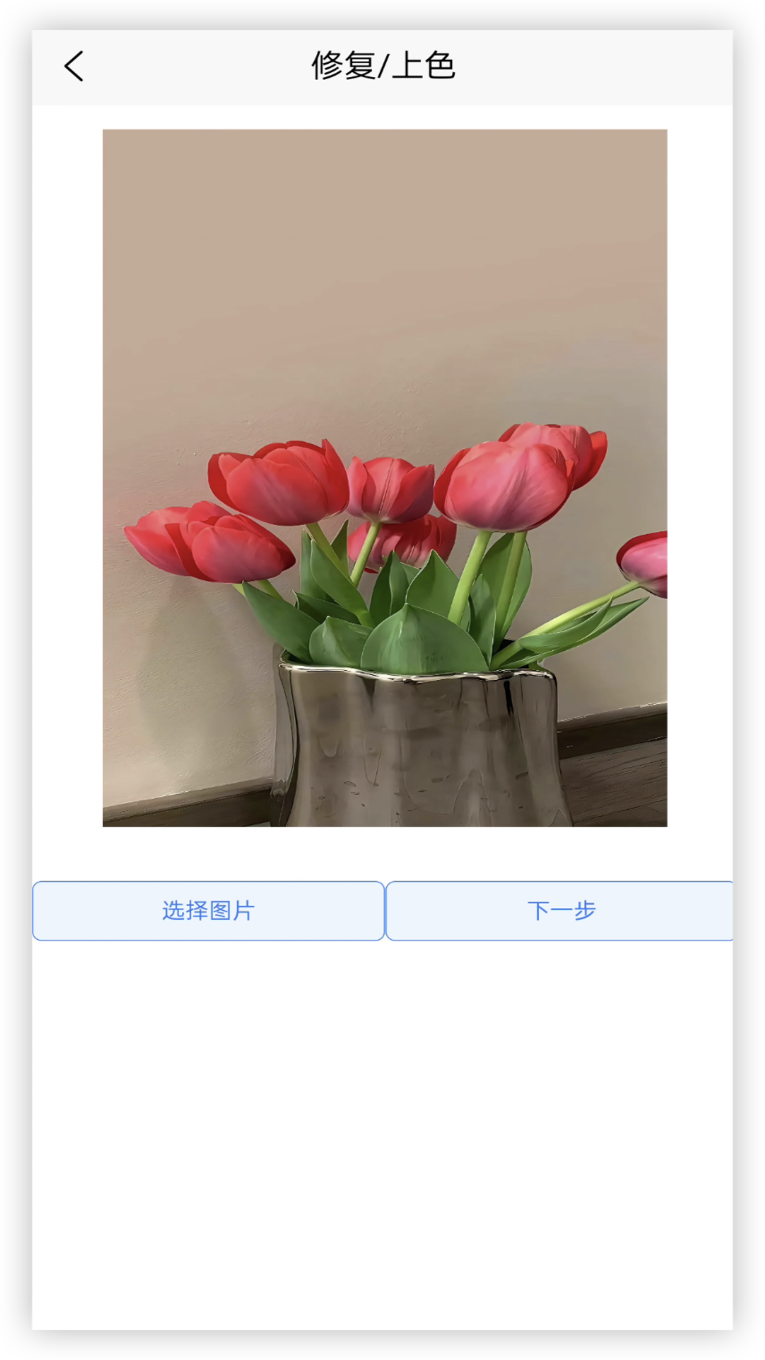 年龄相机下载安装 v1.0.1