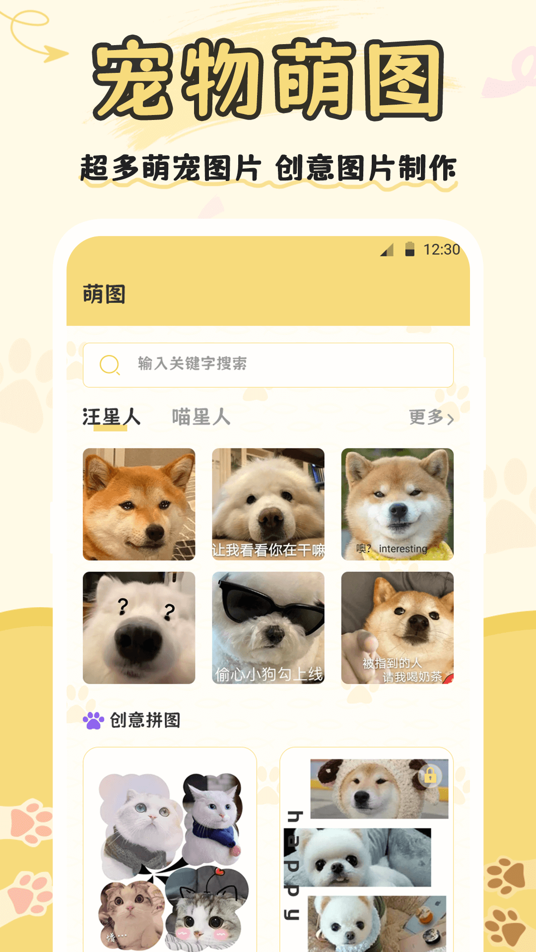 猫语交流