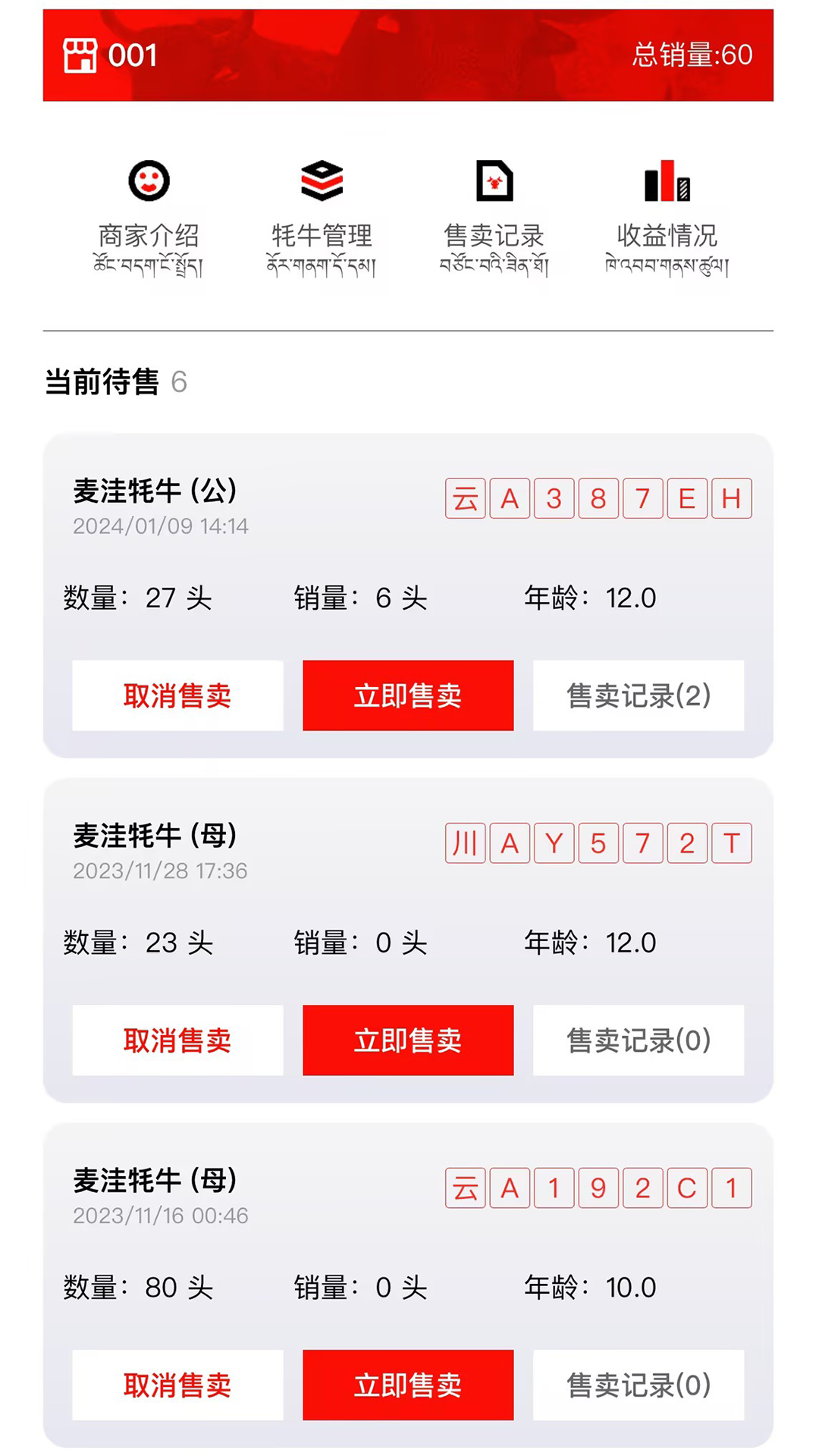 高原牦牛