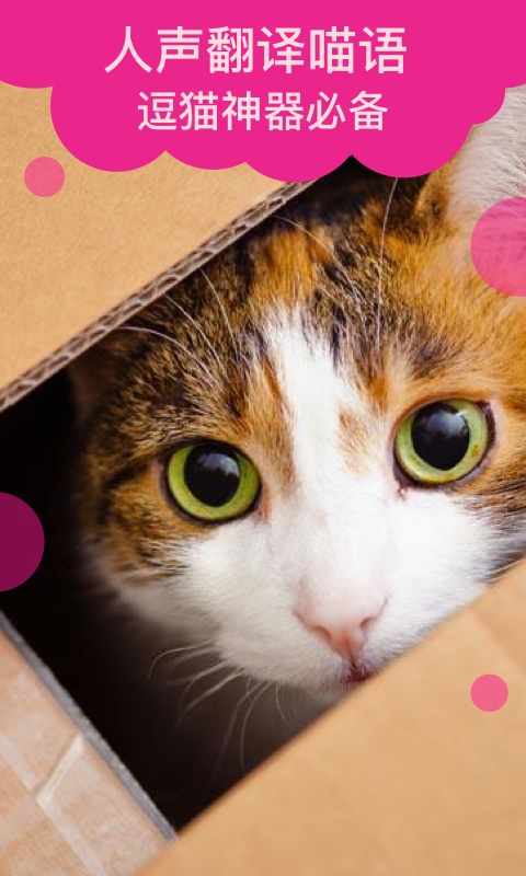 猫语翻译软件免费版 v2.0.9