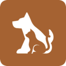 这是什么狗品种图片 v1.0.1