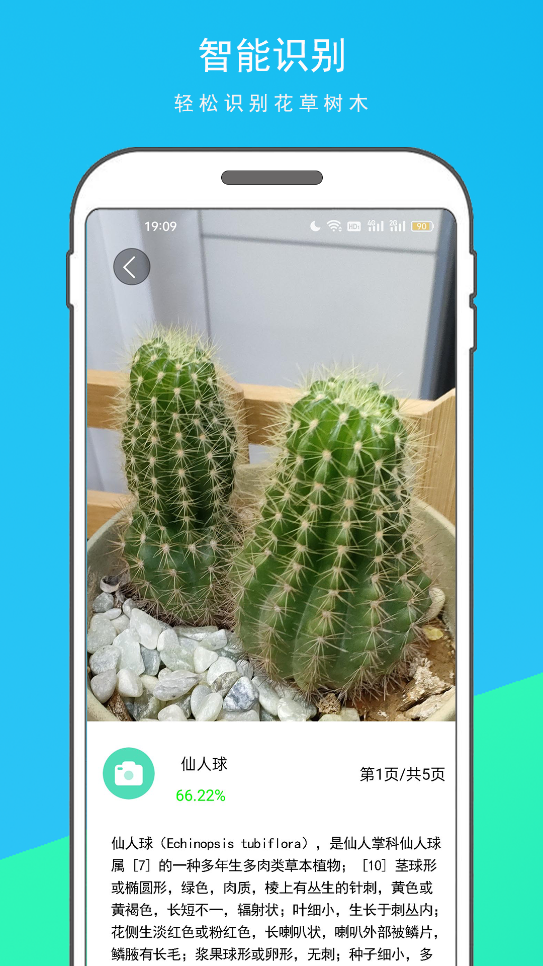 万物识别王截图