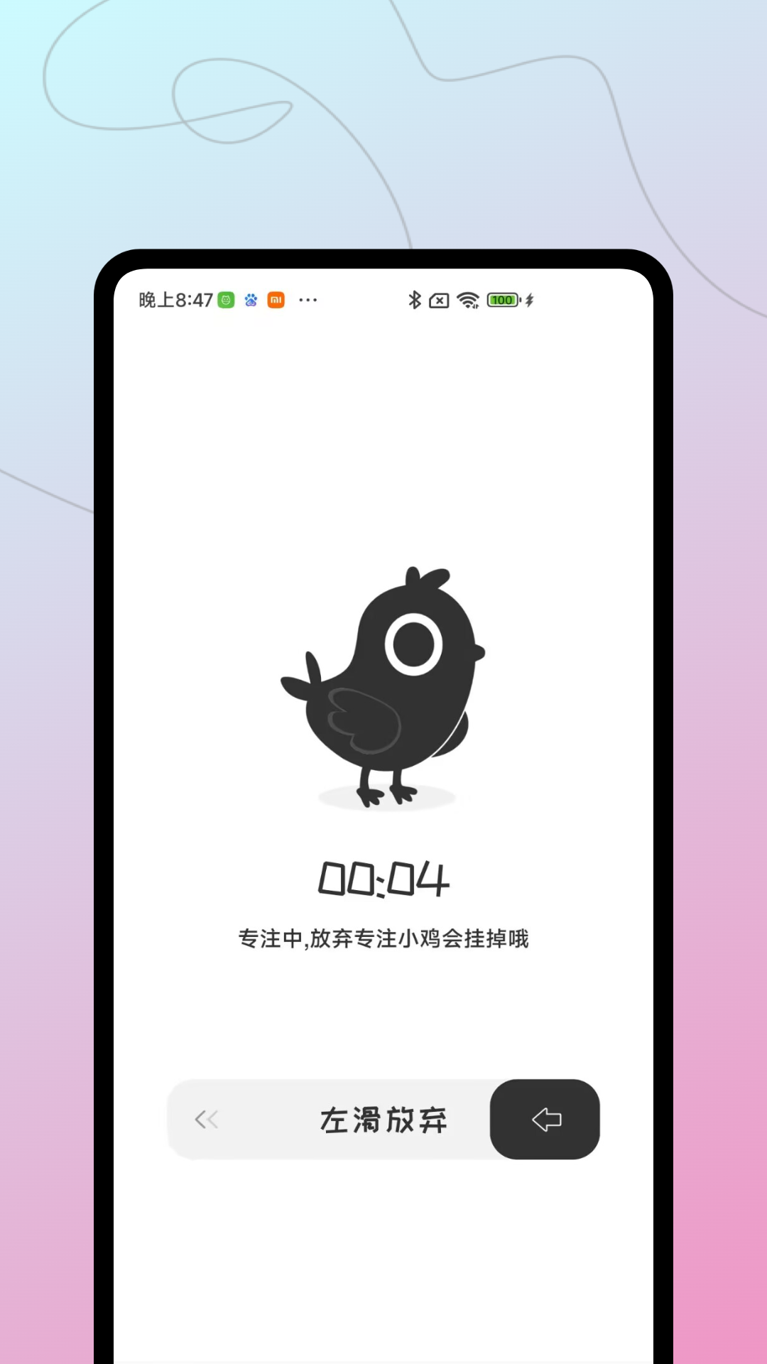 小鸡专注