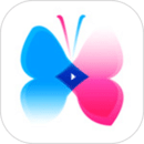 蝶恋花柳永 v1.3
