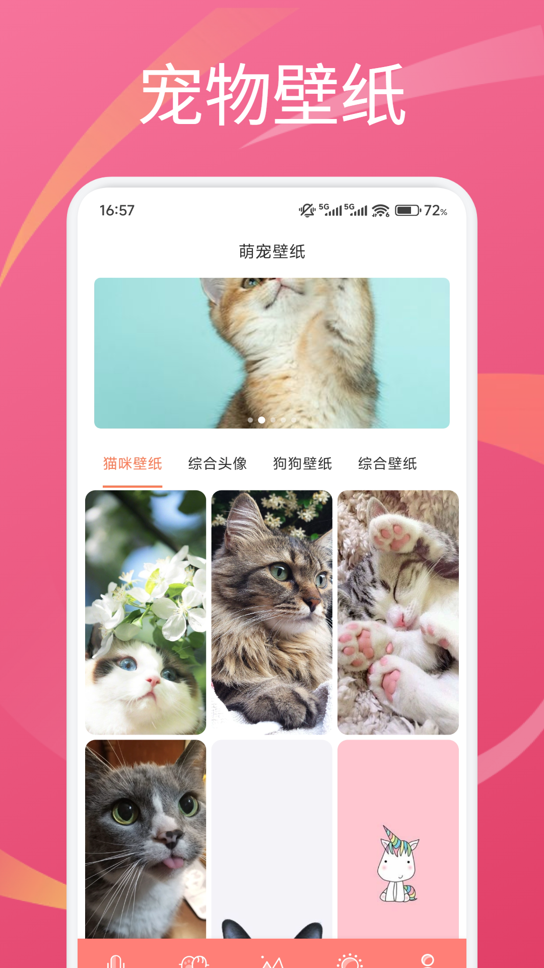 小猫