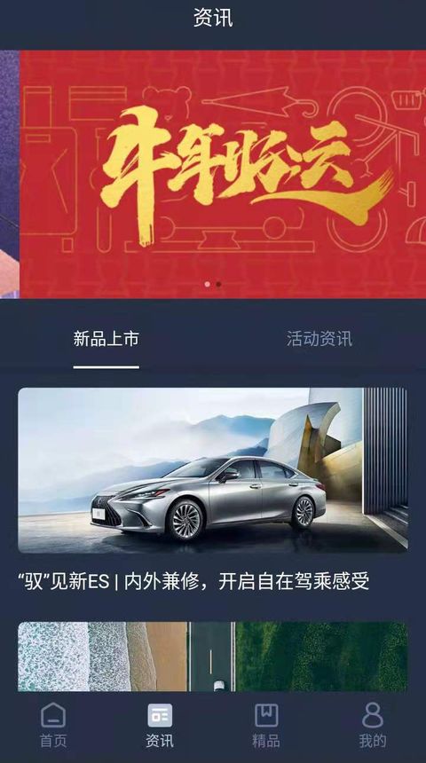 Lexus Accessory