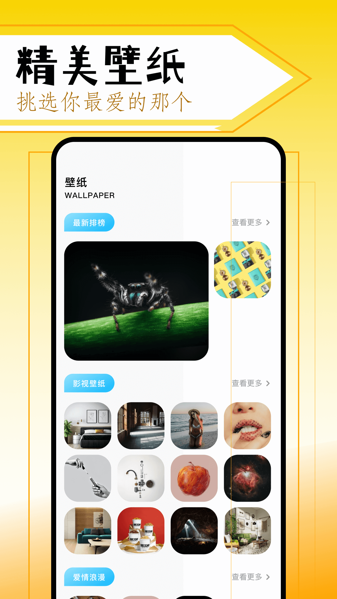 美剧鸟