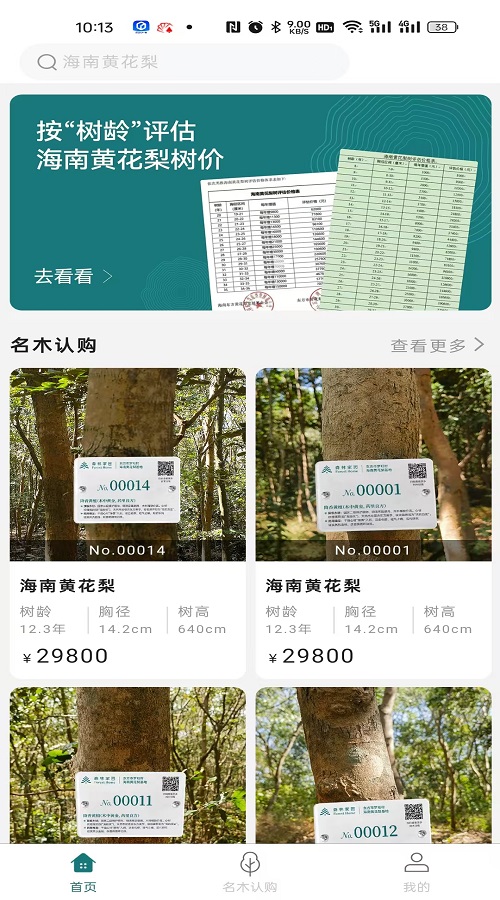 森林家园