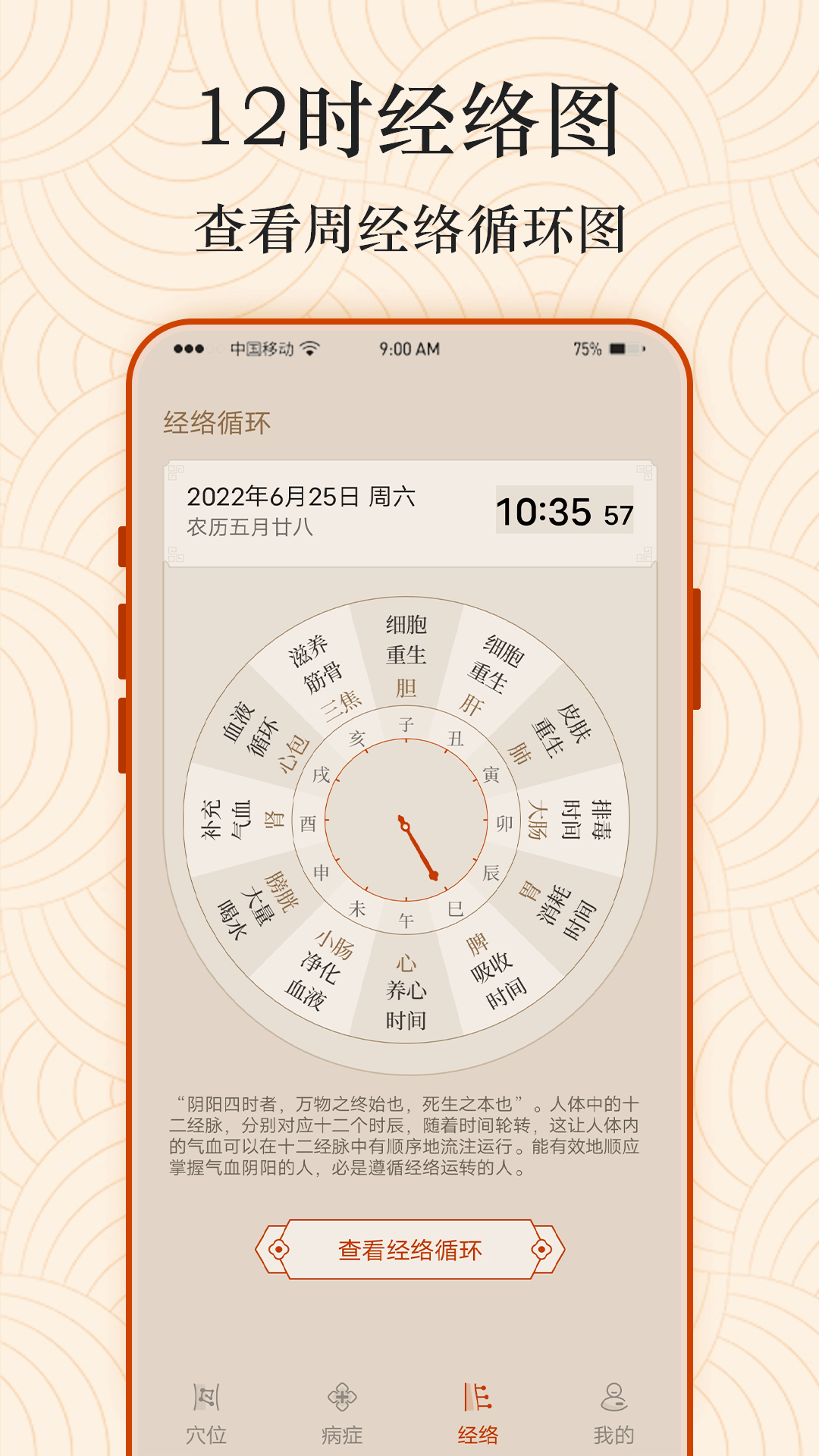 上臂经络图解 v2