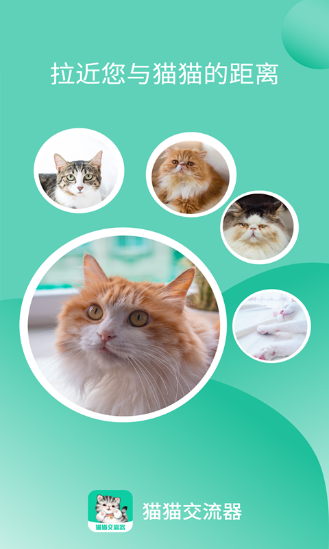 猫猫交流器免费 v3.3.5