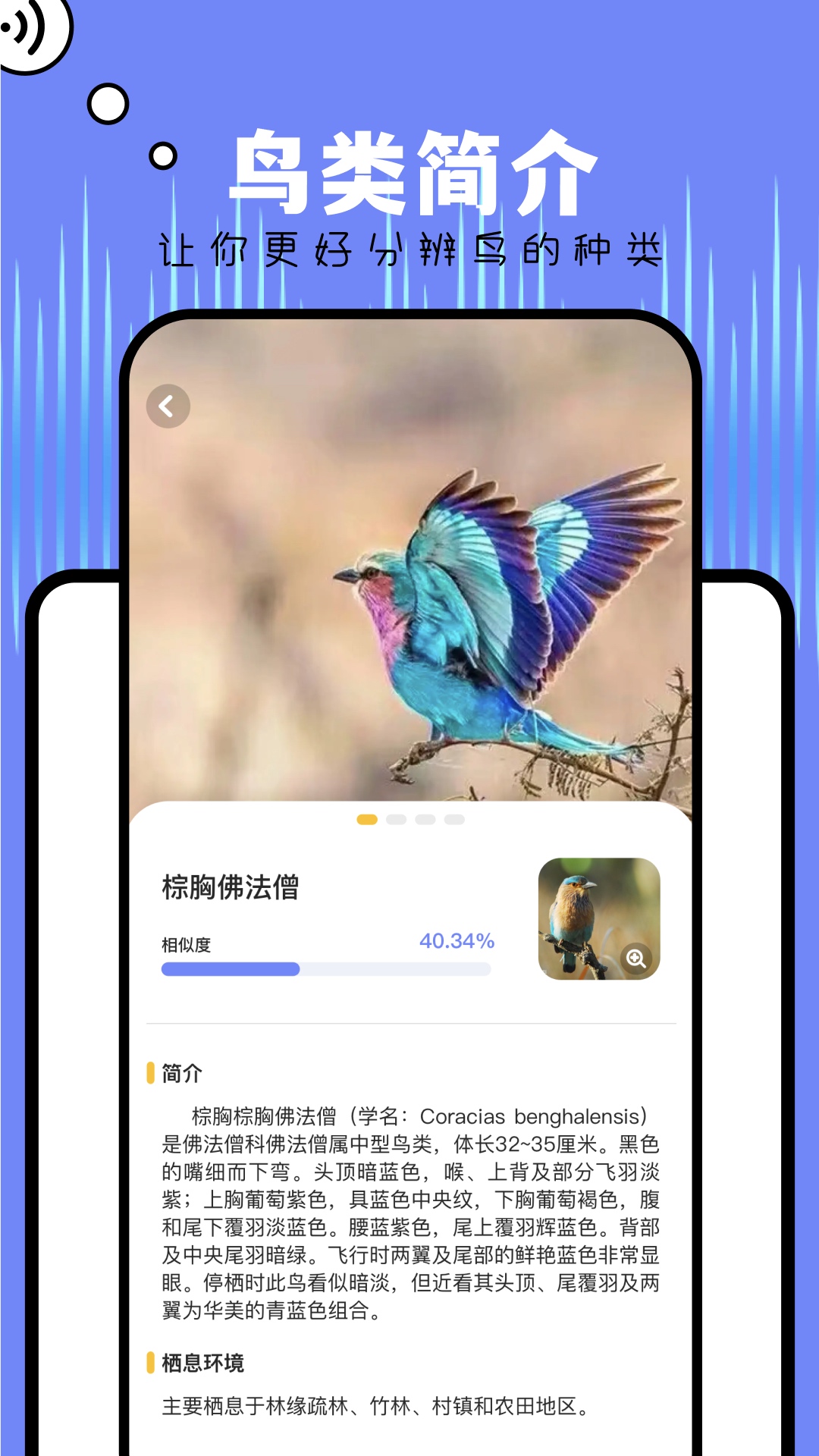 papago翻译官网 v1.2