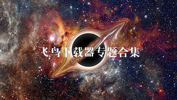 飞鸟下载器