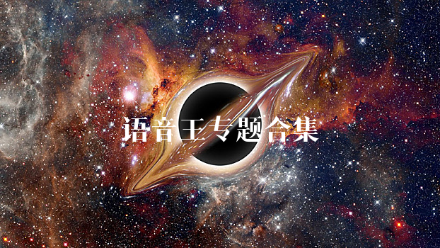 语音王