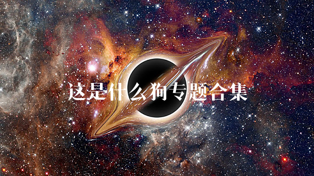 这是什么狗